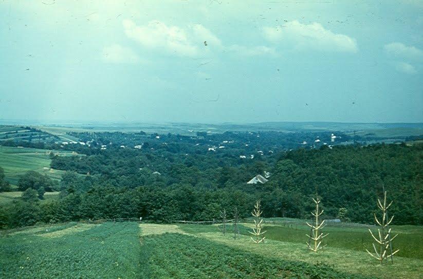 Стара Сіль з panoramio.com - Stara Sil