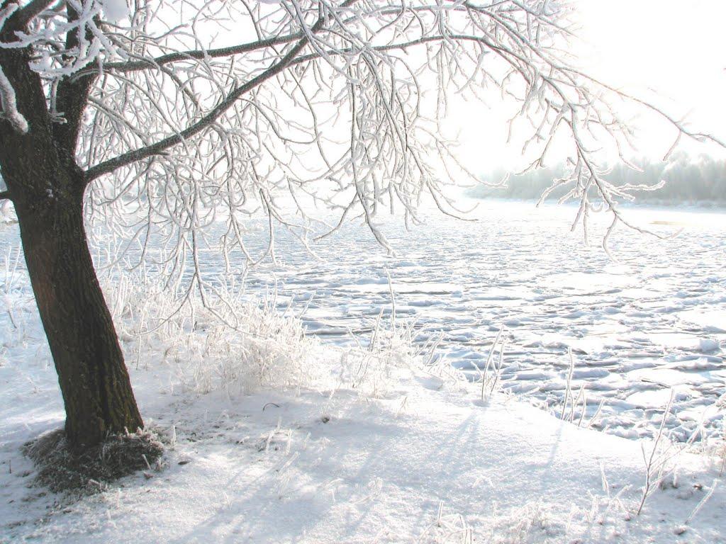 Куковичі з panoramio.com - Куковичі