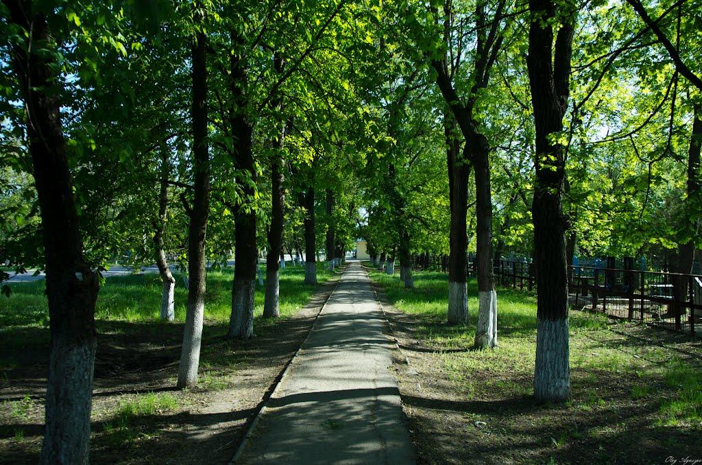 Пологи з panoramio.com - Pology
