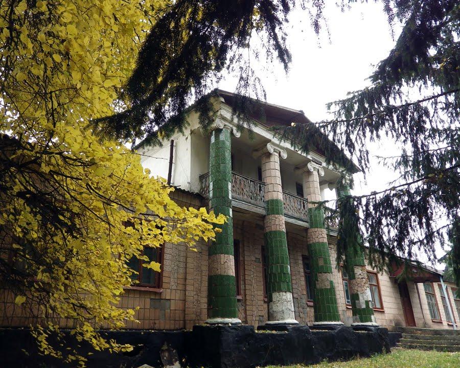 Сінгури з panoramio.com - Сінгури