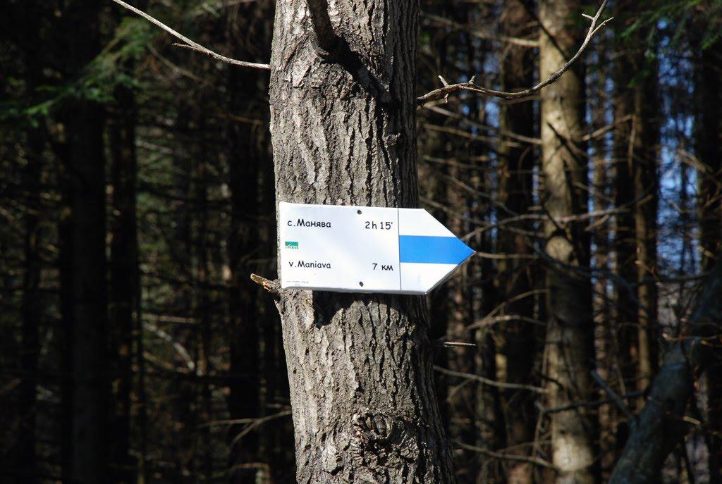 Кричка з panoramio.com - Кричка