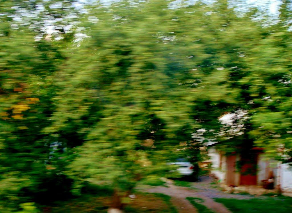 Лисянка з panoramio.com - Лисянка