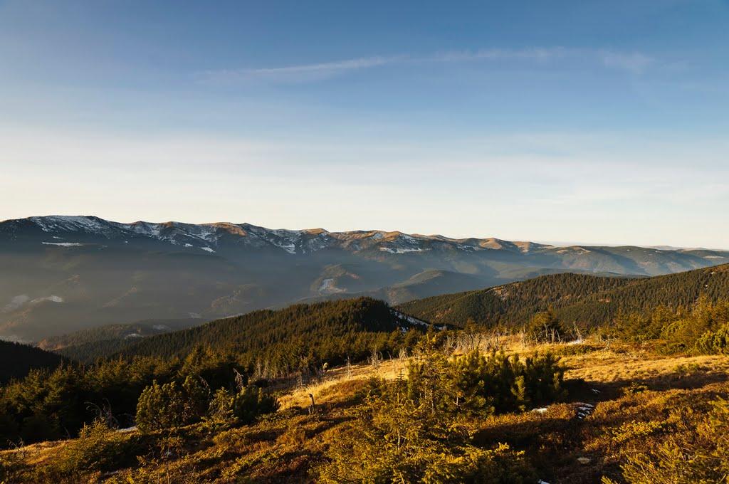 Чорна Тиса з panoramio.com - Черная Тиса