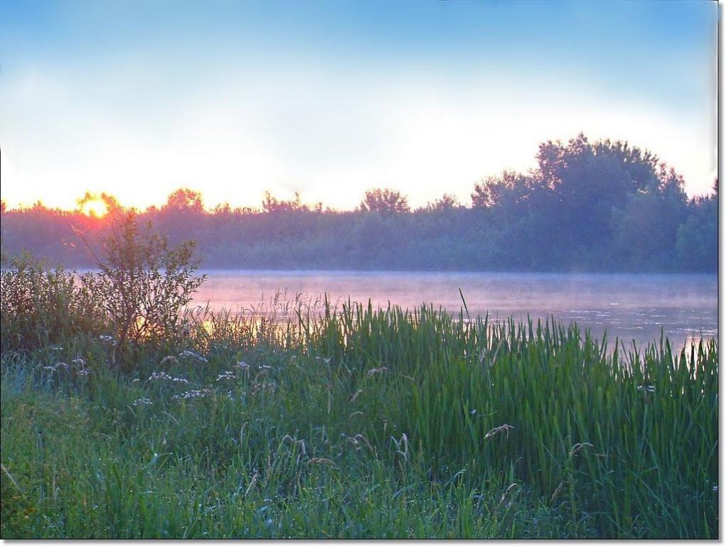 Бузьке з panoramio.com - Бугское