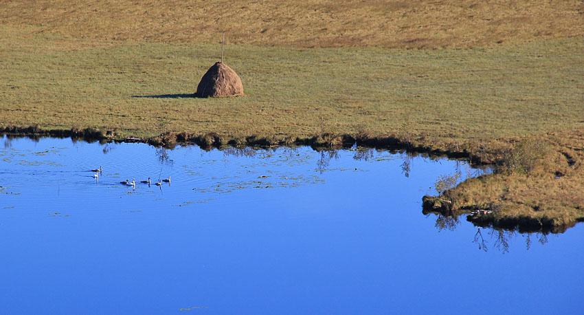 Озерці з panoramio.com - Озерці