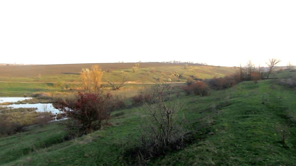 Козакова Балка з panoramio.com - Козакова Балка