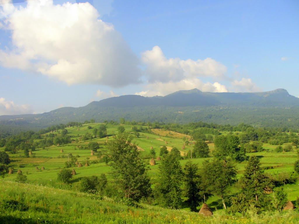 Біла Церква з panoramio.com - Біла Церква