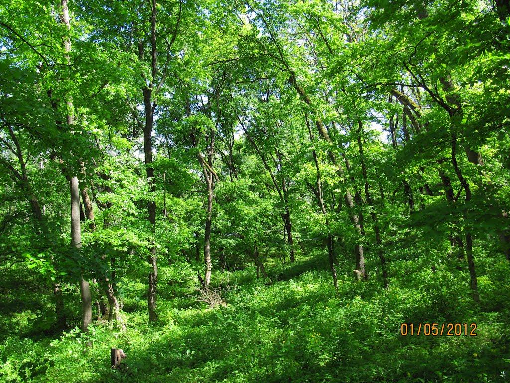 Христове з panoramio.com - Христове