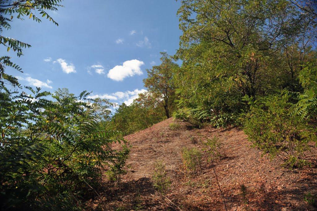 Кремінець з panoramio.com - Кременец