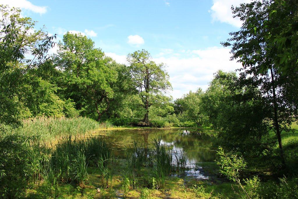 Великі Межирічі з panoramio.com - Великі Межирічі
