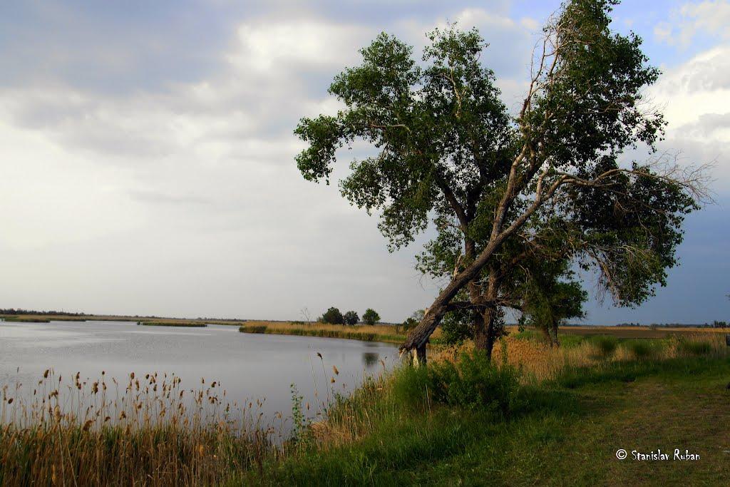 Олександрівка з panoramio.com - Олександрівка