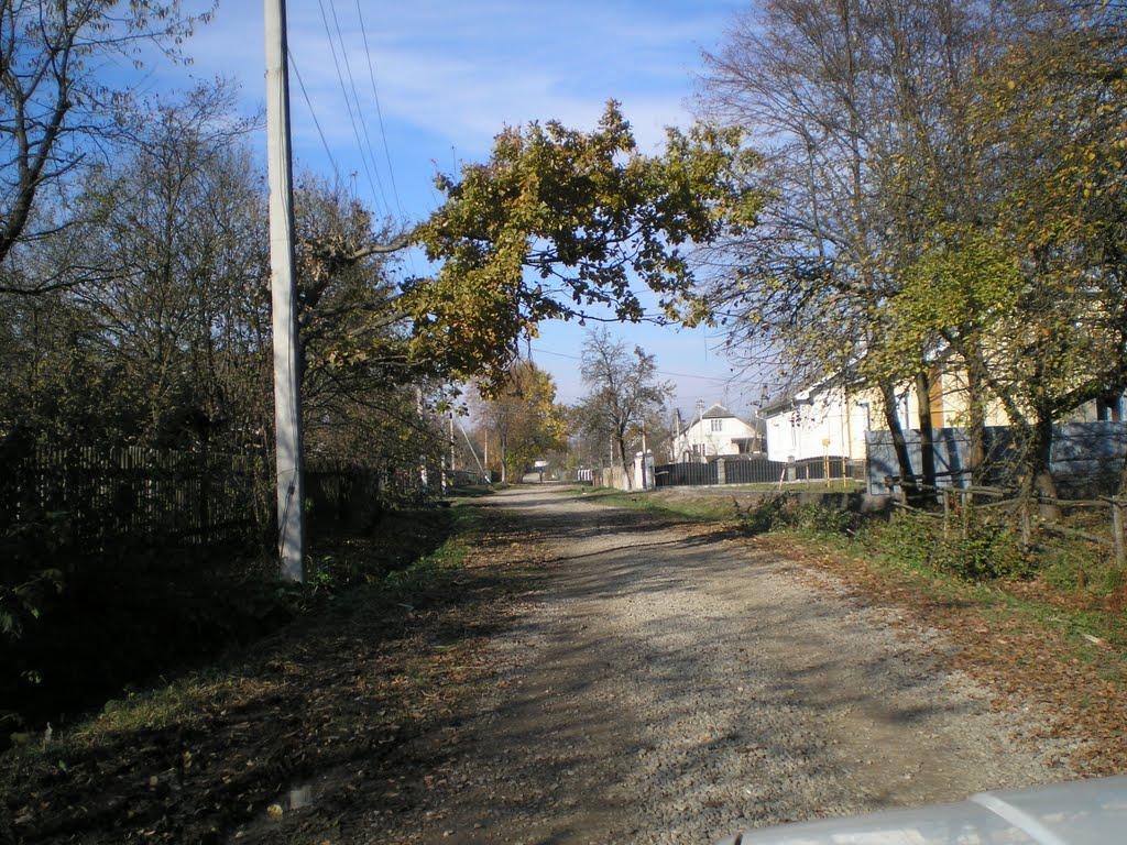 Довгий Войнилів з panoramio.com - Довгий Войнилів