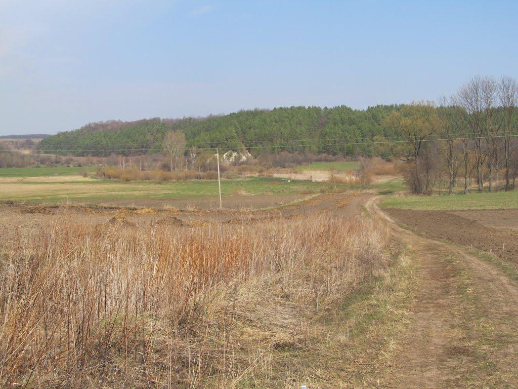 Цеценівка з panoramio.com - Цеценівка