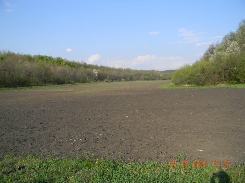 Котовськ з panoramio.com - Котовск