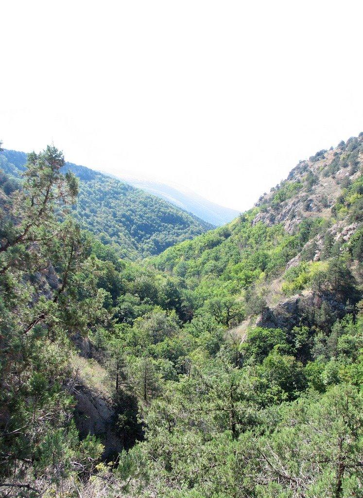 Колхозне з panoramio.com - Колхозное