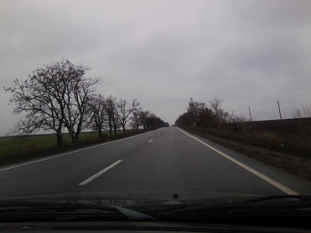 Чорнобаївка з panoramio.com - Чорнобаївка