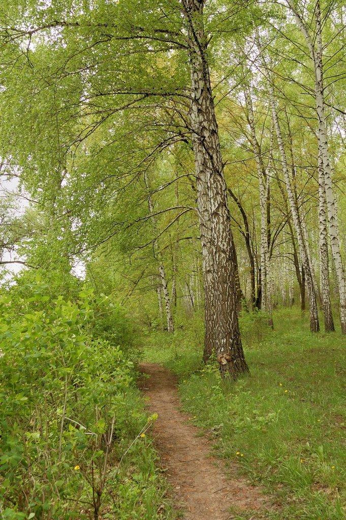 Люботин з panoramio.com (ч.2) - Люботин