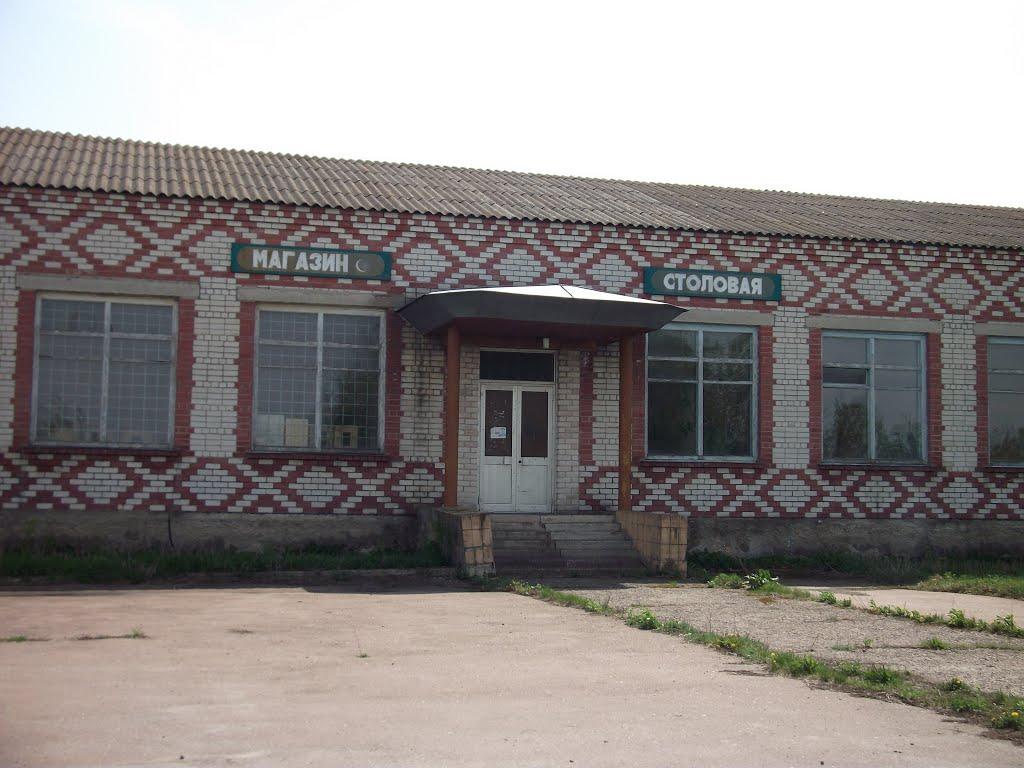 Виблі з panoramio.com - Виблі