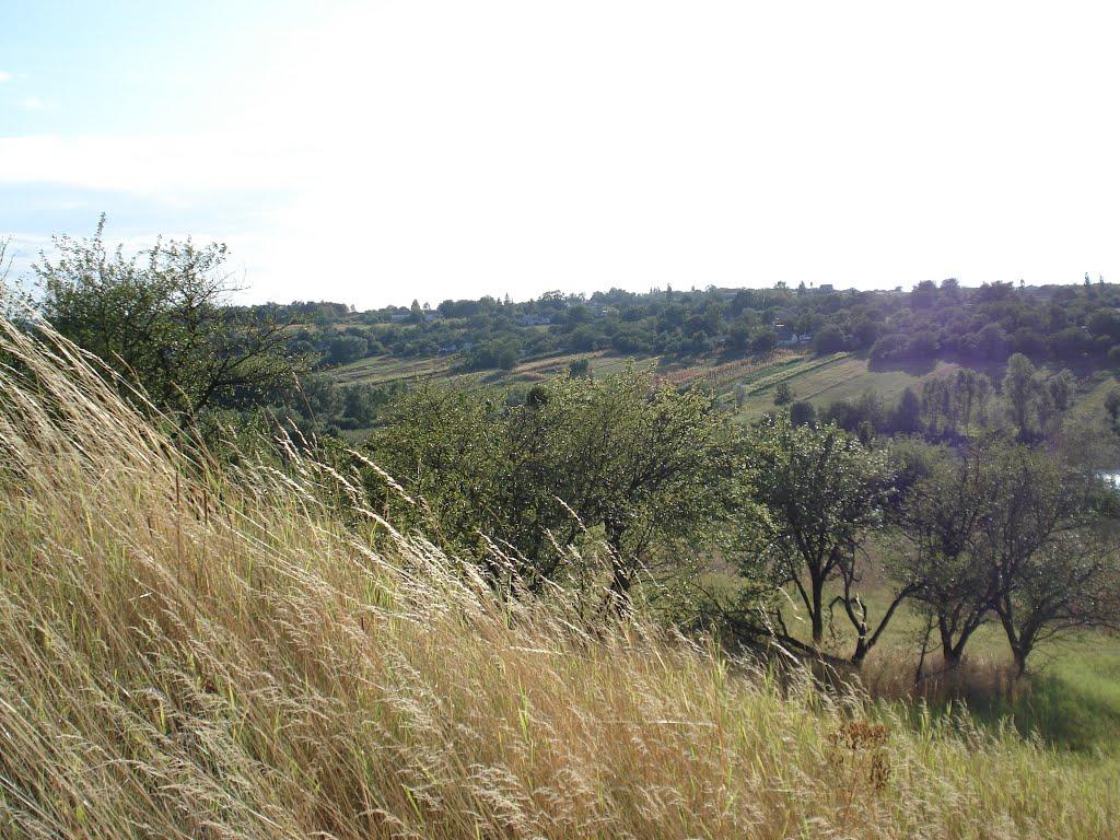 Салиха з panoramio.com - Салиха