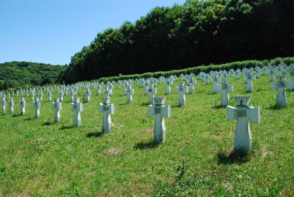 Ясенівці з panoramio.com - Ясенівці