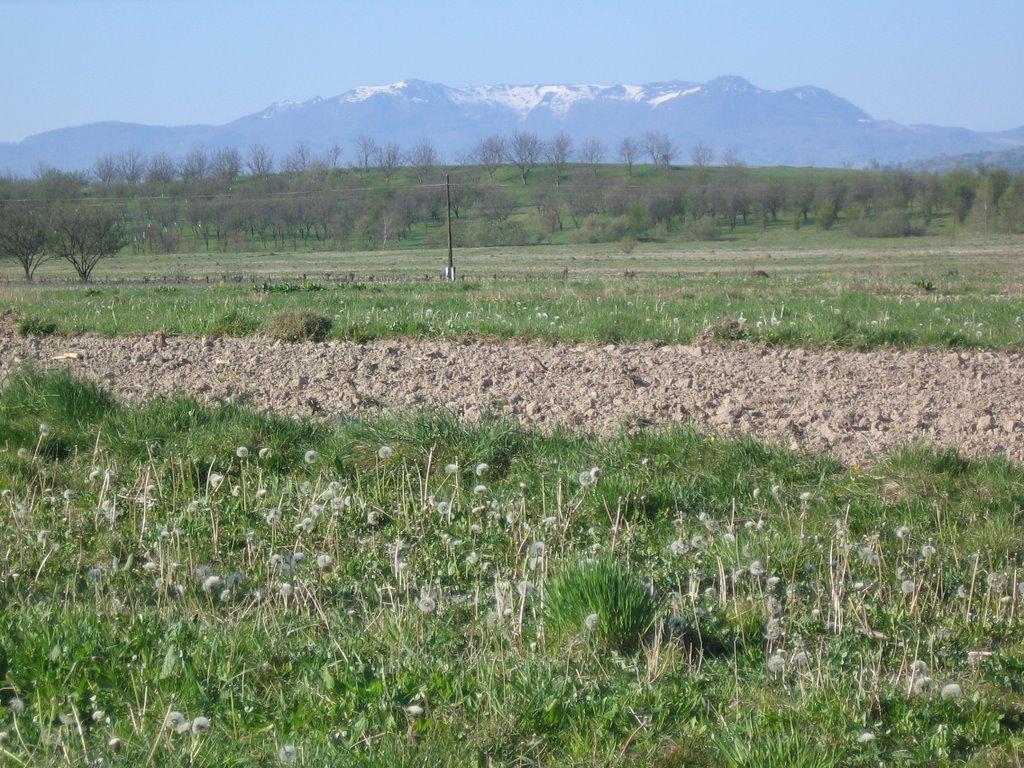 Біла Церква з panoramio.com - Біла Церква