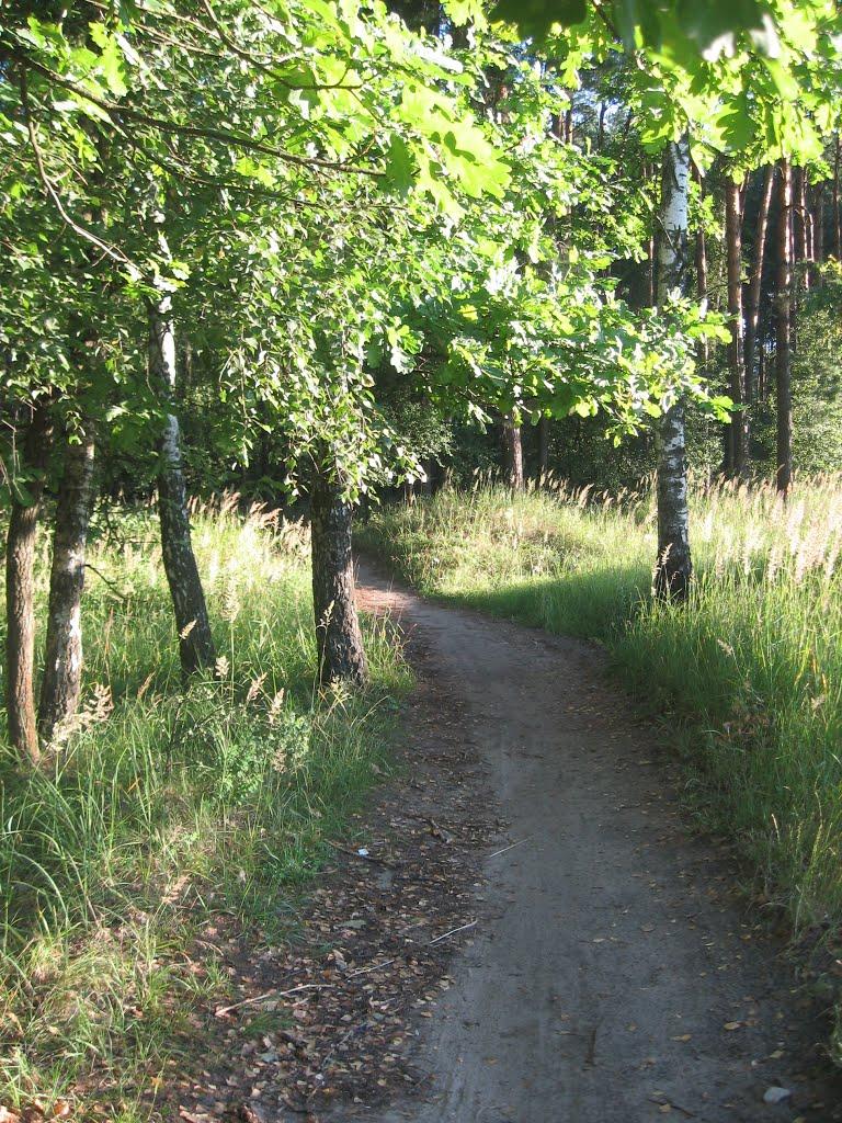 Нова Борова з panoramio.com - Нова Борова