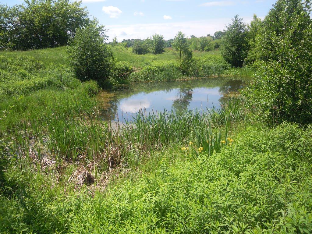 Михля з panoramio.com - Михля