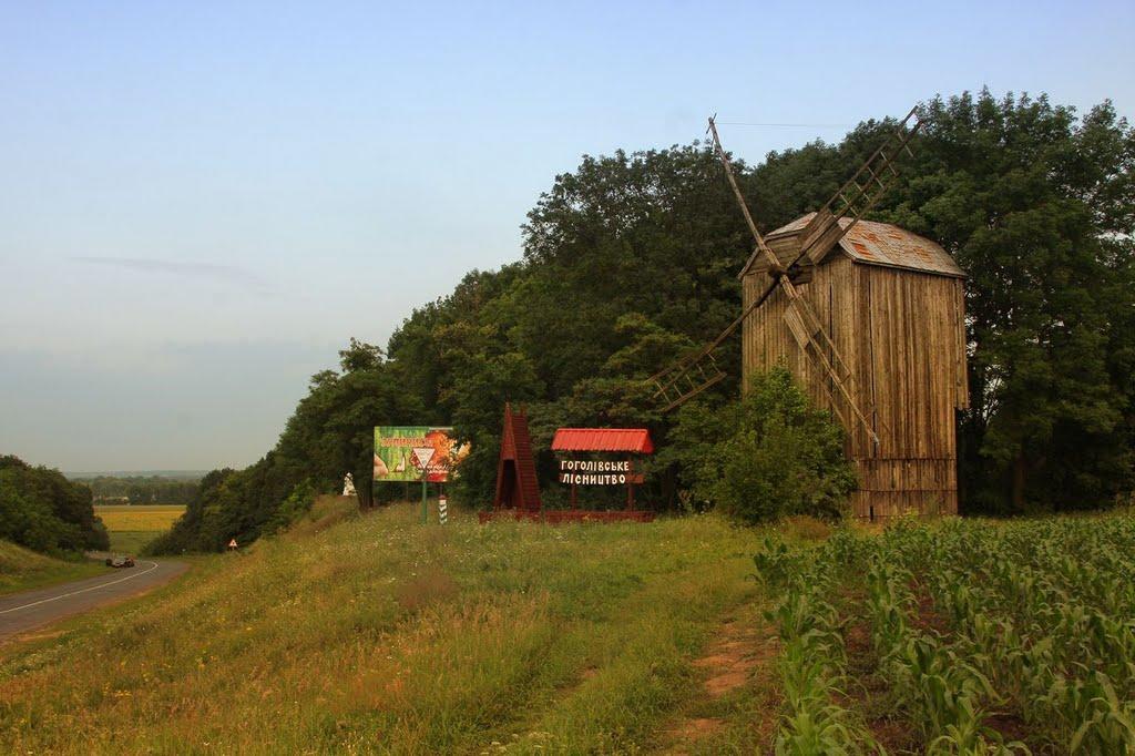 Великі Сорочинці з panoramio.com - Великие Сорочинцы