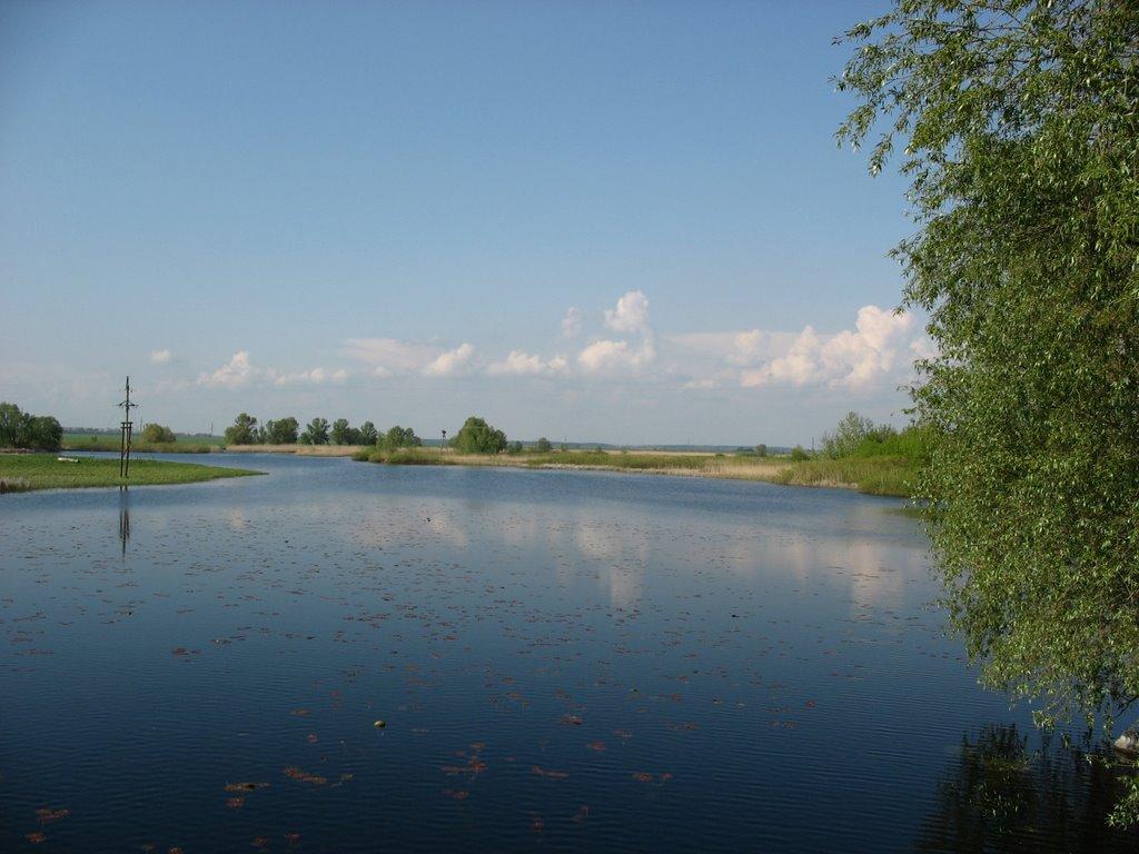 Горошине з panoramio.com - Горошино