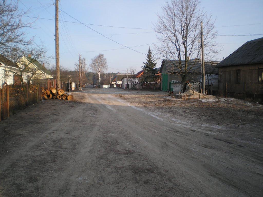 Глушицьке з panoramio.com - Глушицьке