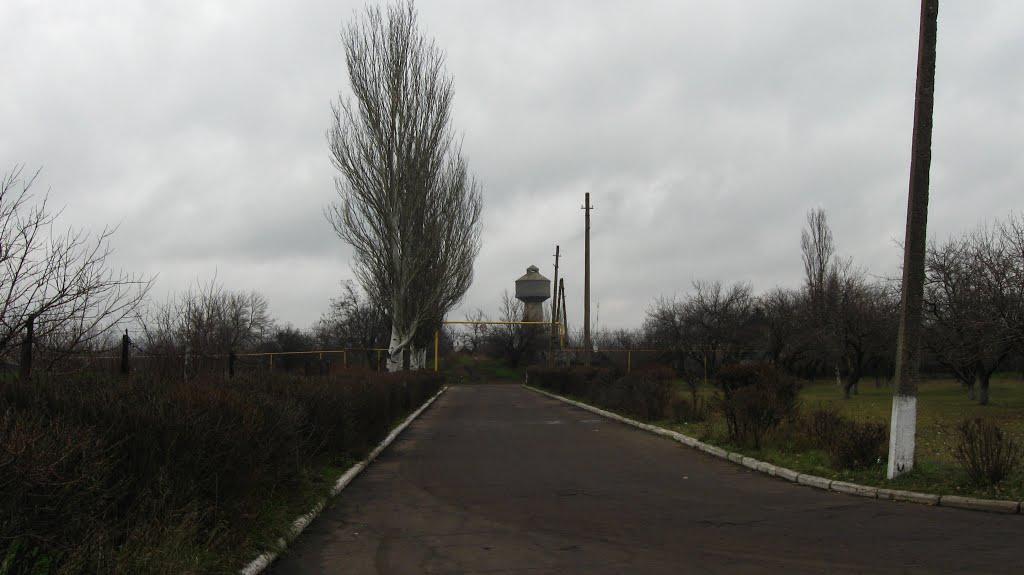 Димитров з panoramio.com - Димитров
