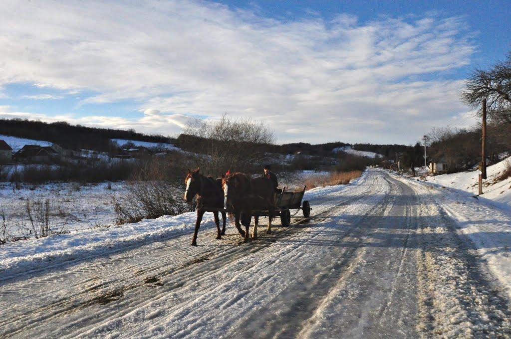 Поляна з panoramio.com - Поляна