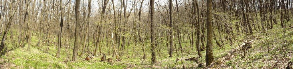 Шипувате з panoramio.com - Шипувате