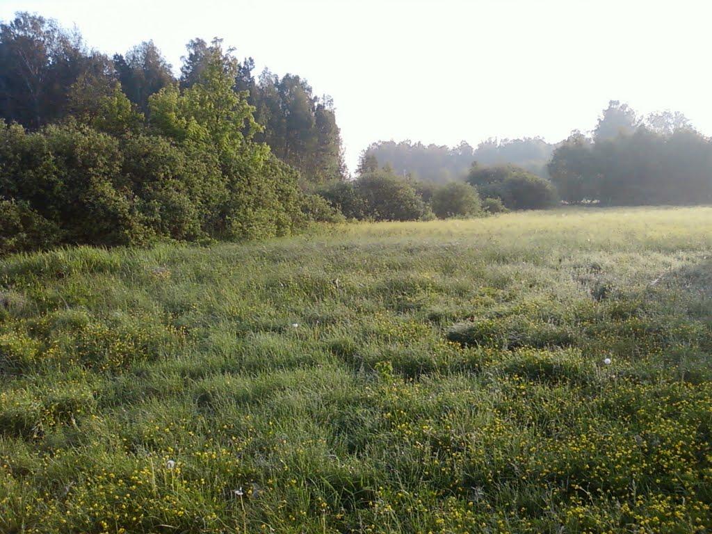 Свеса з panoramio.com - Svesa