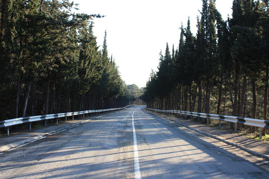 Курпати з panoramio.com - Курпати