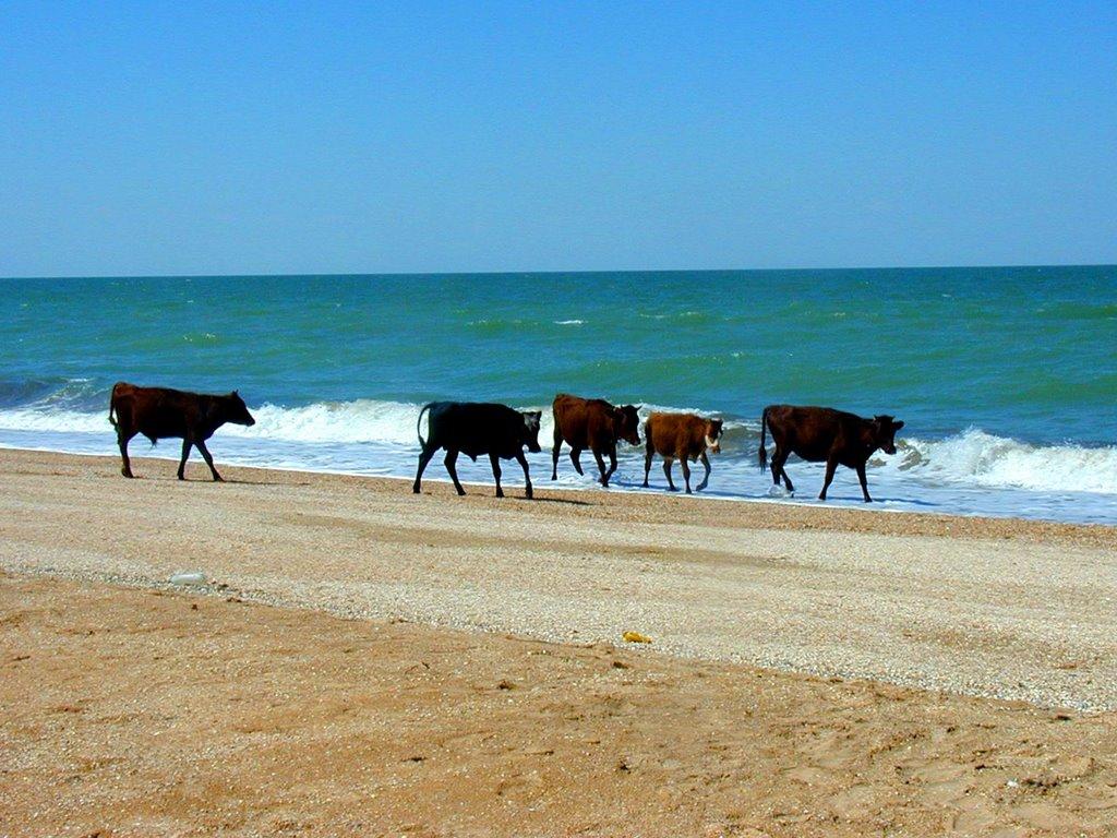 Уварове з panoramio.com - Уварово