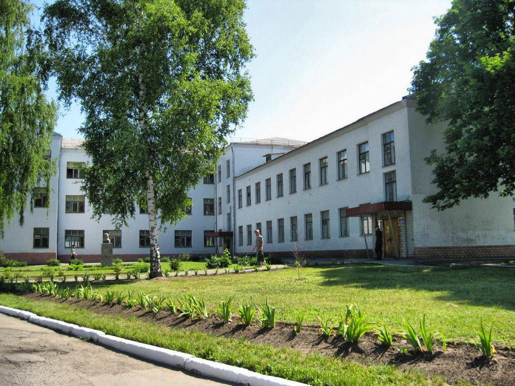 Покотилівка з panoramio.com - Покотилівка