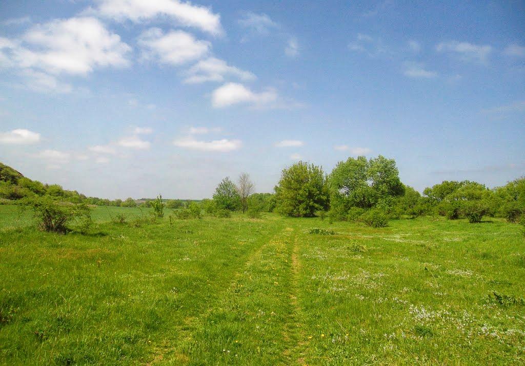 Зелена Левада з panoramio.com - Зеленая Левада