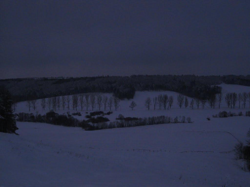 Нова Мощаниця з panoramio.com - Нова Мощаниця