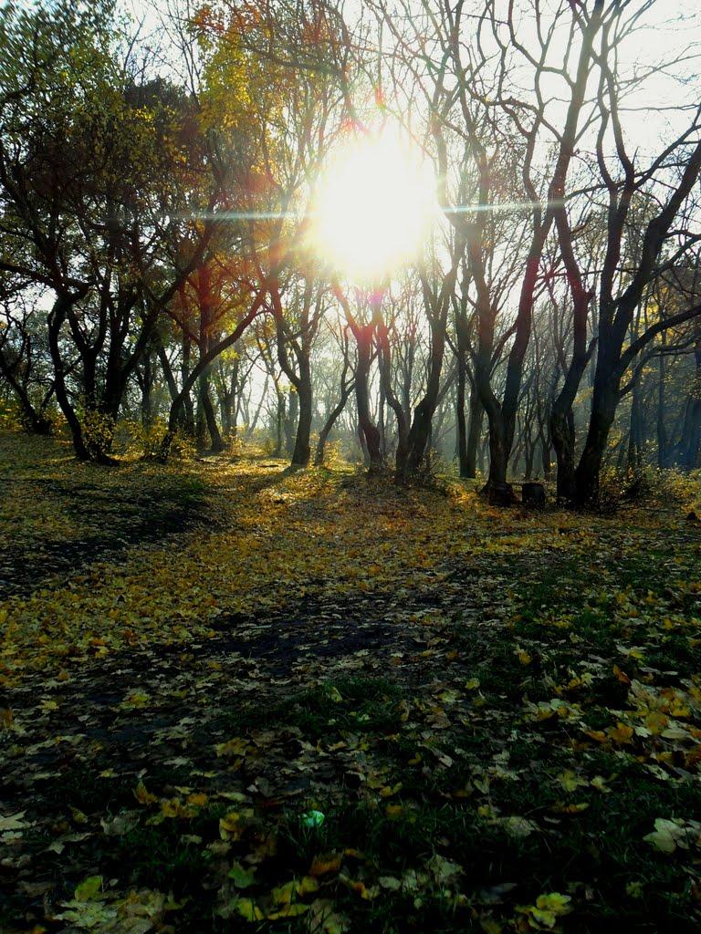 Карло-Марксове з panoramio.com - Карло-Марксово
