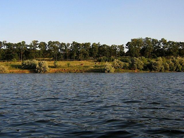 Первомаївка з panoramio.com - Первомаевка
