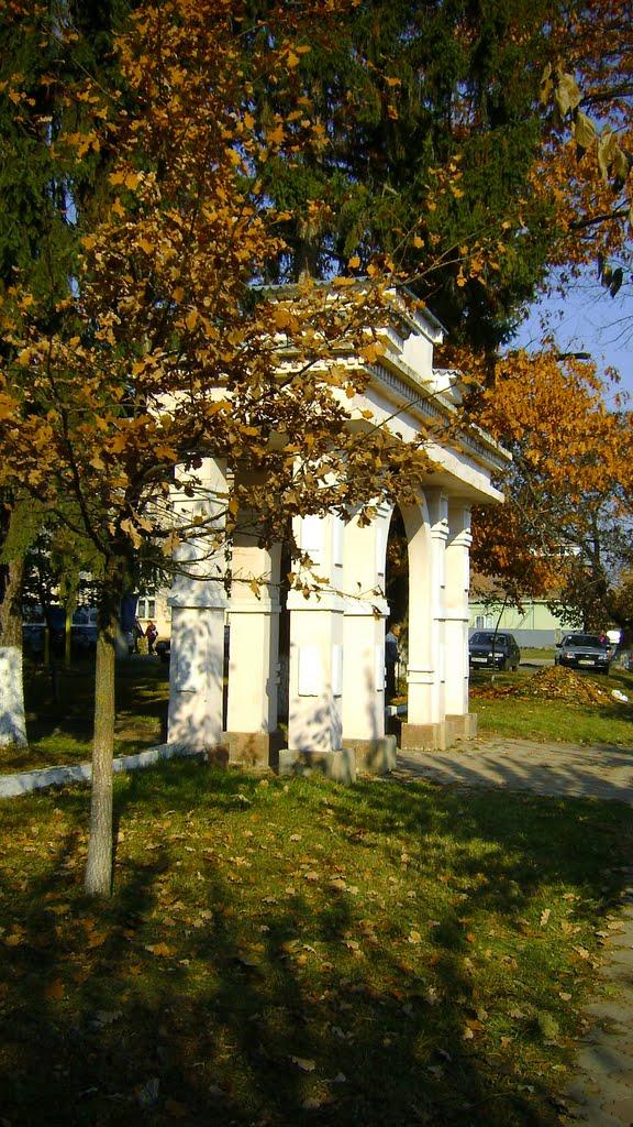 Іршава з panoramio.com - Irshava