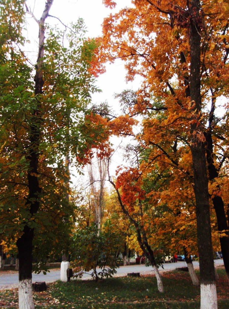 Пологи з panoramio.com - Pology