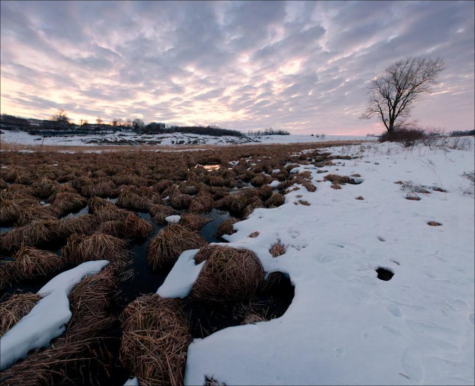 Скорики з panoramio.com - Скорики
