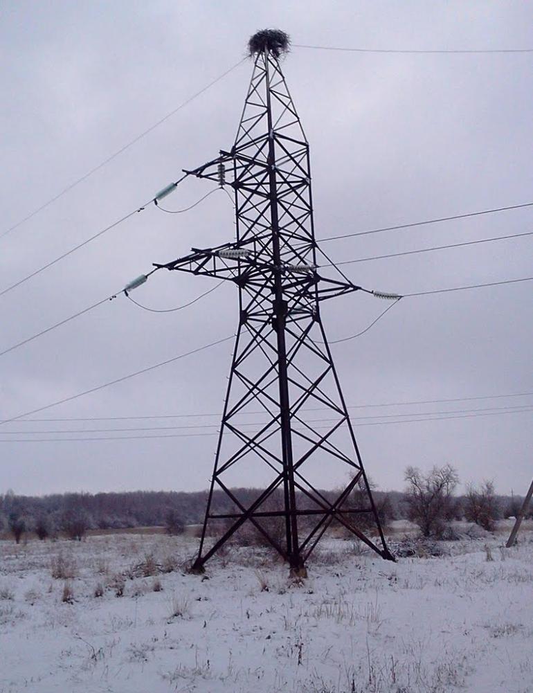 Шульгинка з panoramio.com - Шульгинка