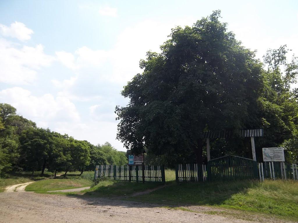 Ташань з panoramio.com - Ташань