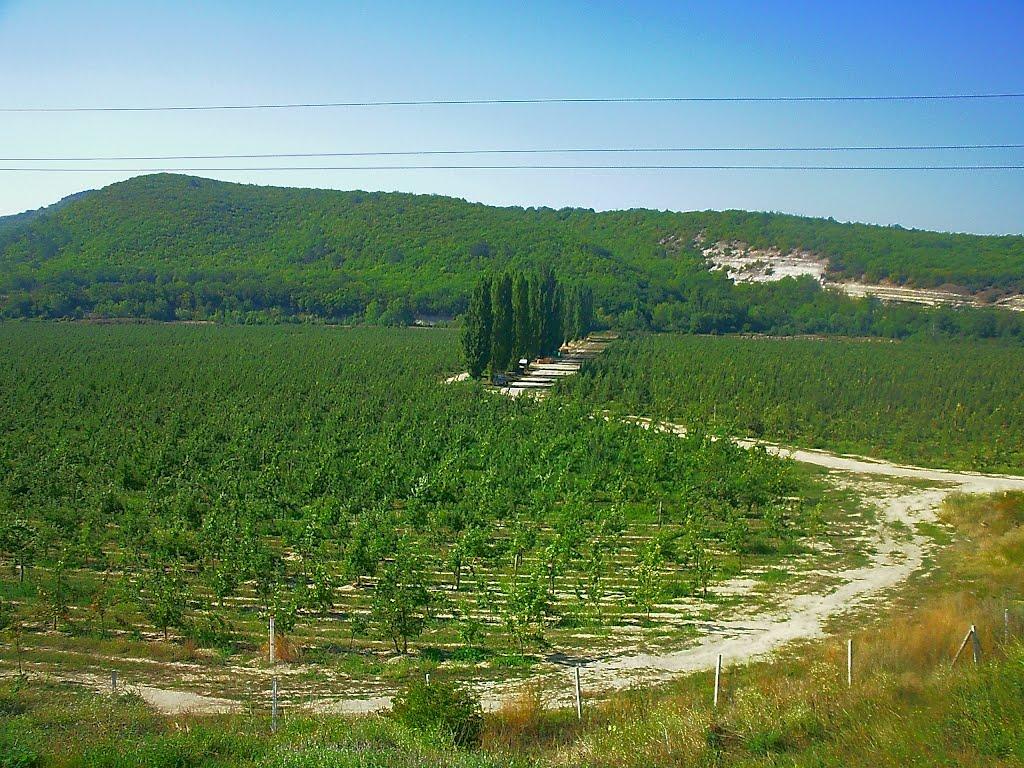 Передущельне з panoramio.com - Передущельне