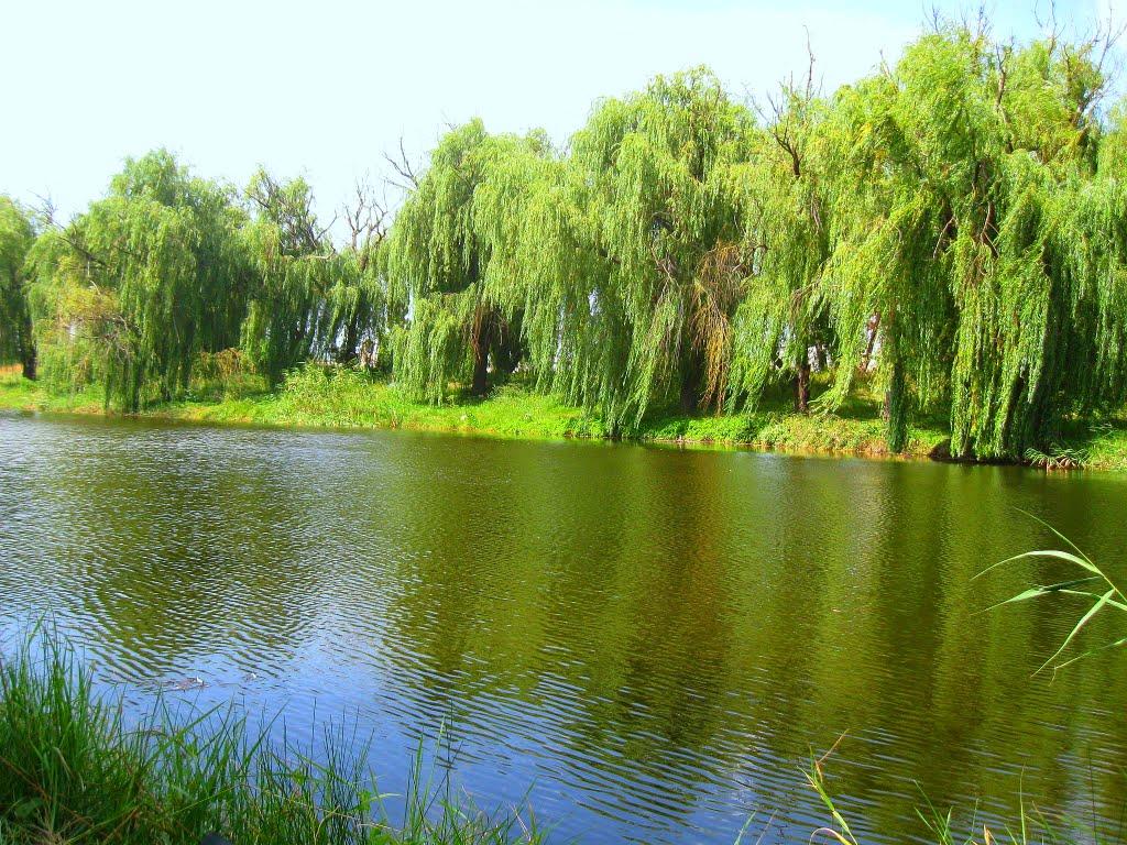 Времівка з panoramio.com - Времівка