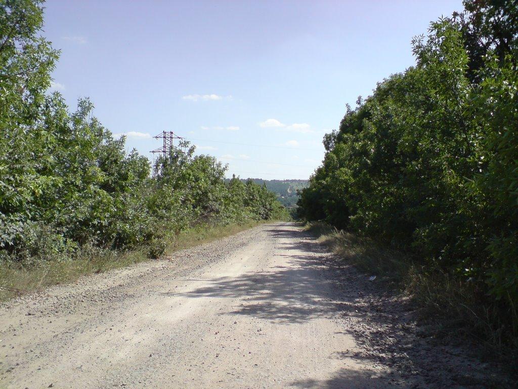 Перельоти з panoramio.com - Перелеты