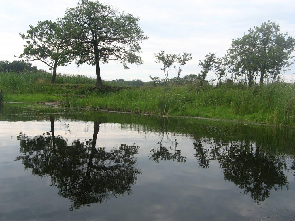 Ковпаківка з panoramio.com - Ковпаківка